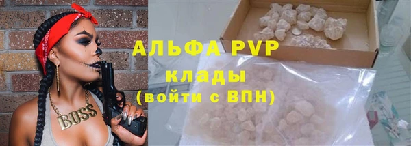 хмурый Елизово