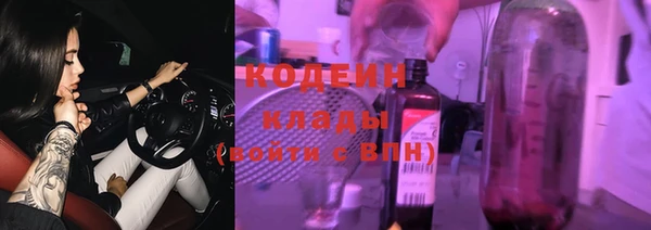 хмурый Елизово