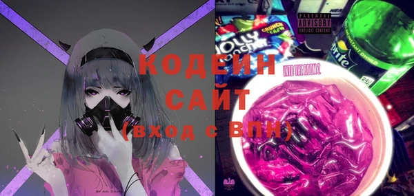 хмурый Елизово