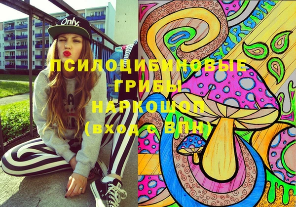 хмурый Елизово