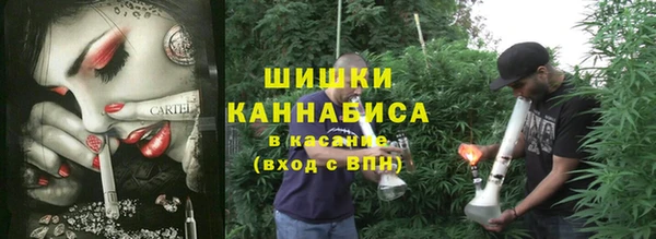 хмурый Елизово